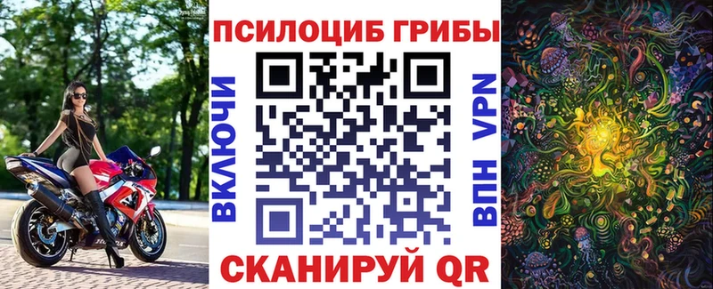 Галлюциногенные грибы MAGIC MUSHROOMS  купить  сайты  Алексеевка 