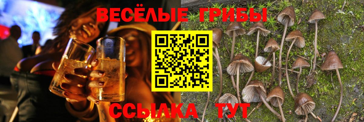 Галлюциногенные грибы MAGIC MUSHROOMS  Псилоцибиновые грибы Cubensis  Вход с VPN  Алексеевка 