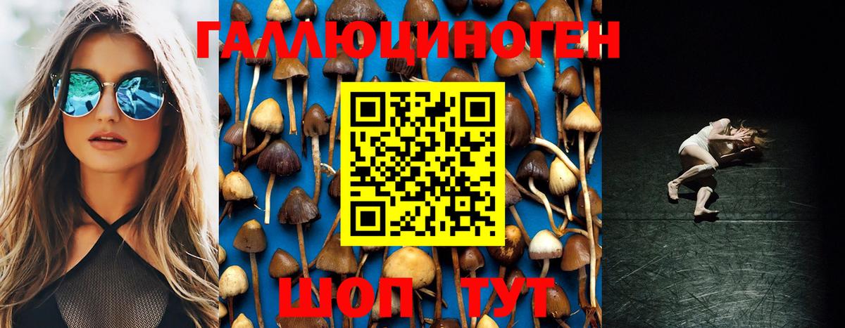 Псилоцибиновые грибы MAGIC MUSHROOMS Алексеевка